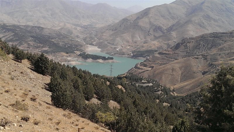 پارک جنگلی تلو
