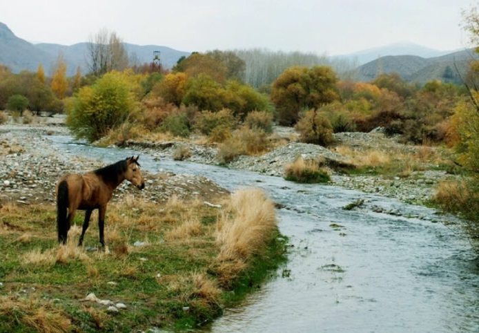 پارک جنگلی خجیر
