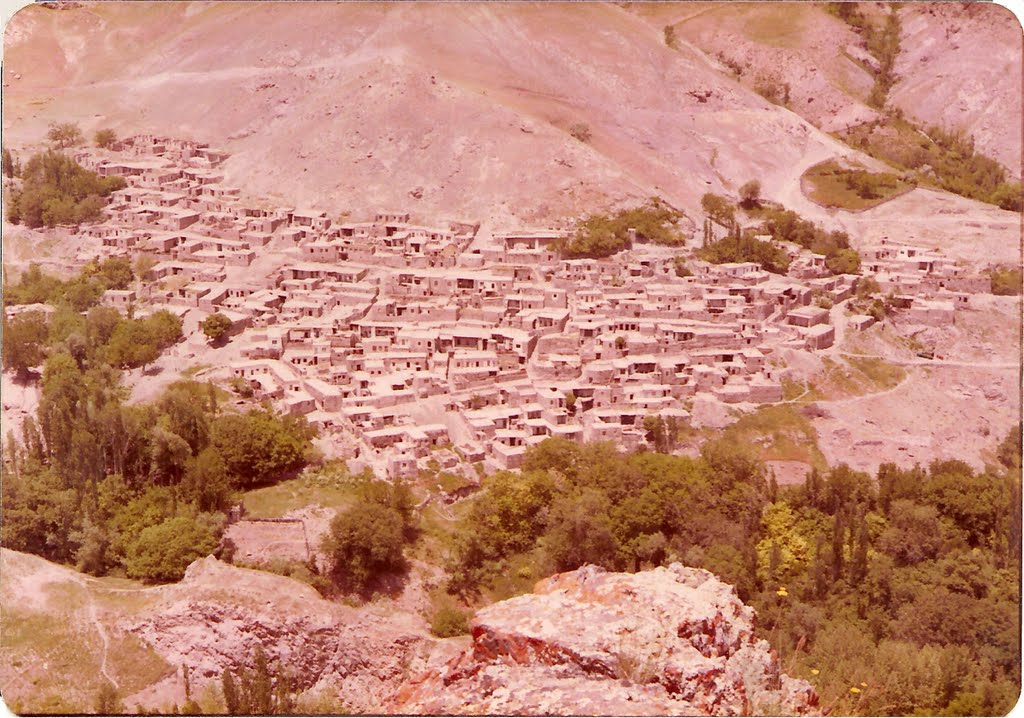 روستای زاجکان علیا 
