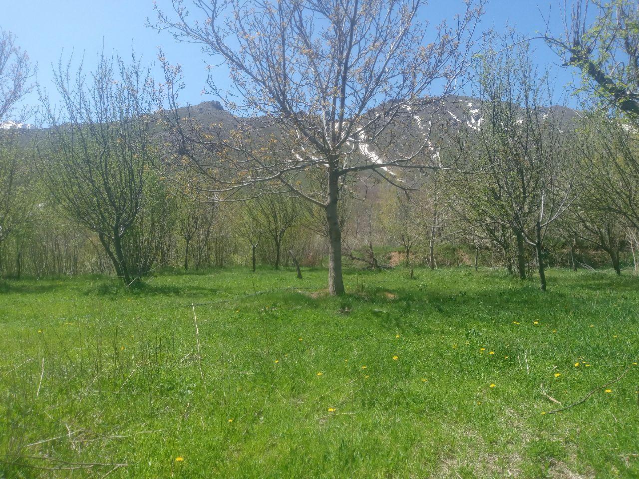 روستای وفرجین همدان