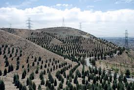 لتمال
