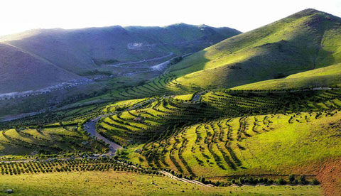مجموعه تفریحی کوهستانی گاوازنگ