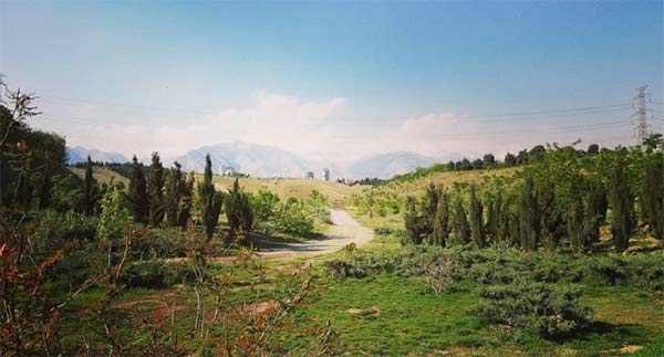 پردیسان
