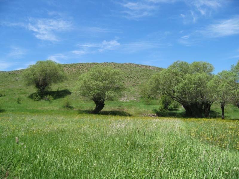 روستای زناسوج