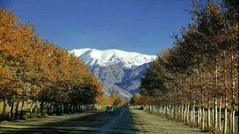 تهران