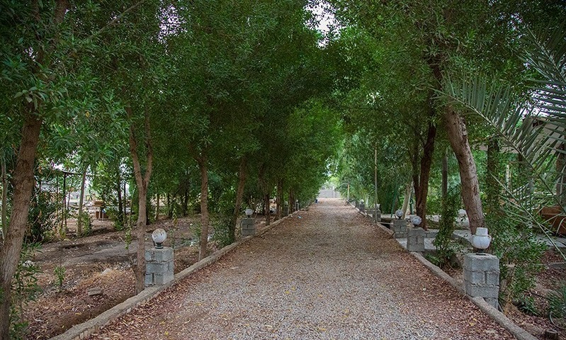 روستای طویبه حمیدیه 