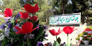 محله زعفرانیه تهران