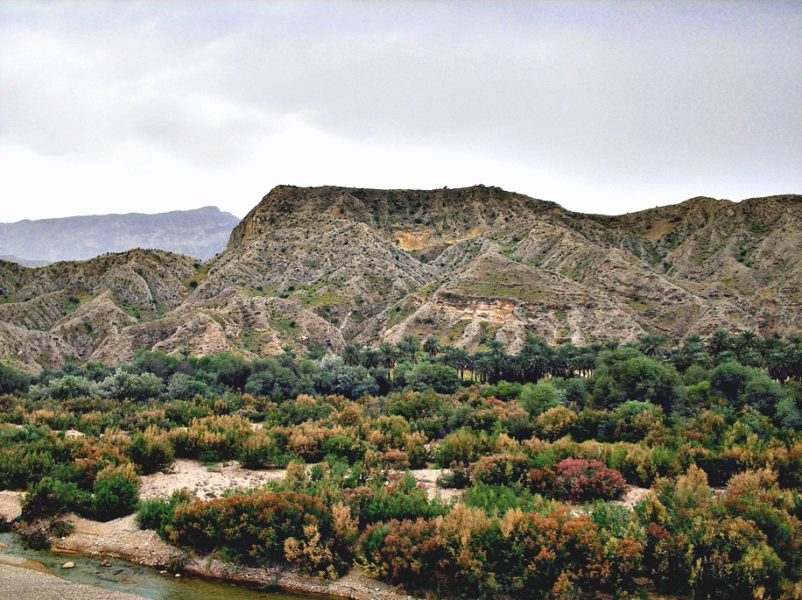 انارستان 
