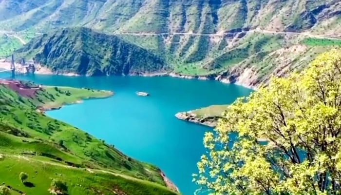 جنگلهای بلوط دهدز 