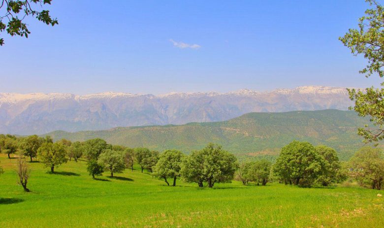 جنگلهای بلوط دهدز 