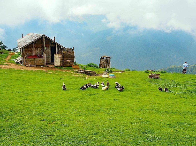 روستای ارده رضوانشهر