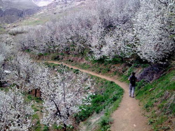 روستای سنگان