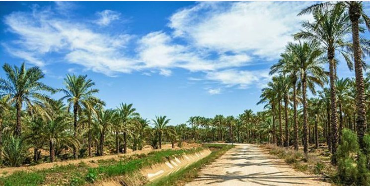 جاهای دیدنی آب پخش
