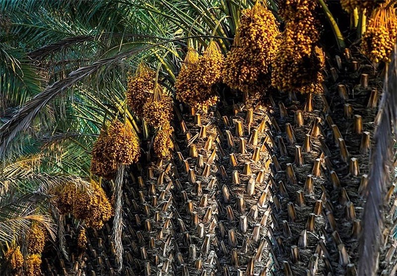 جاهای دیدنی آب پخش