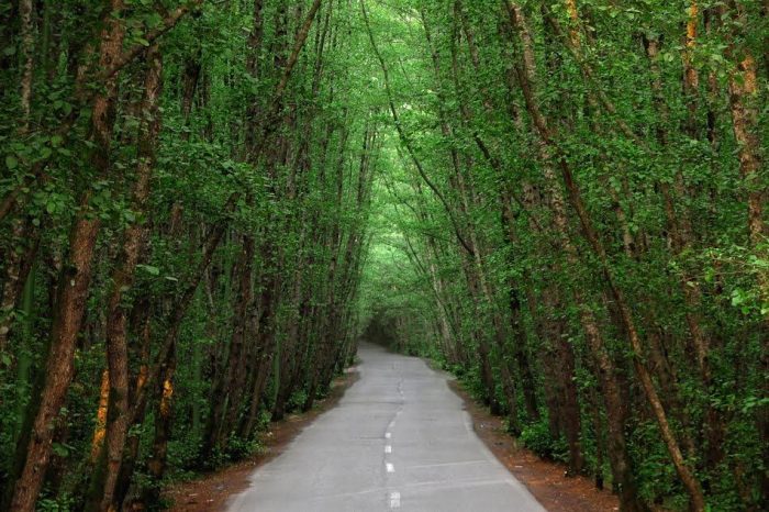 عکسهای رویایی ایران در تابستان