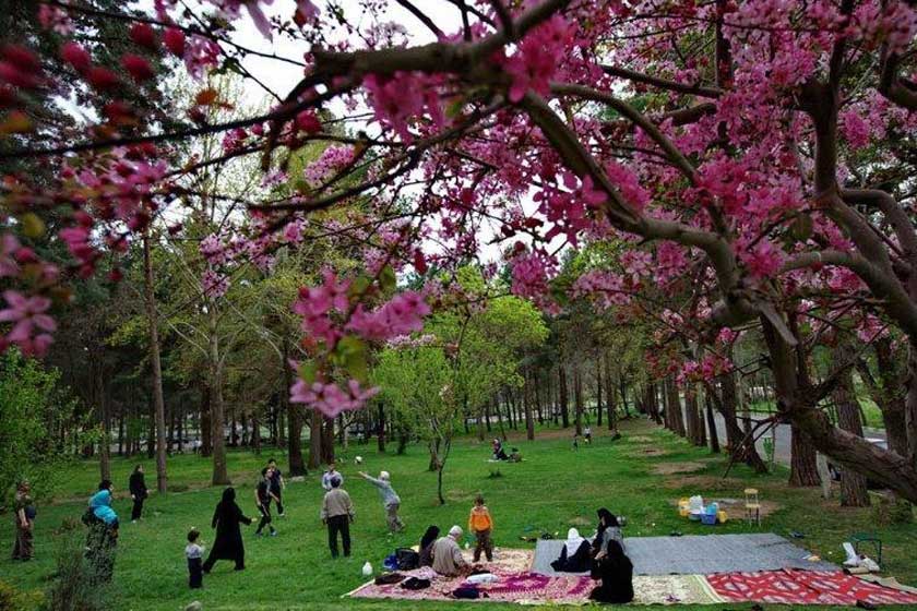 افسانه حاجی فیروز