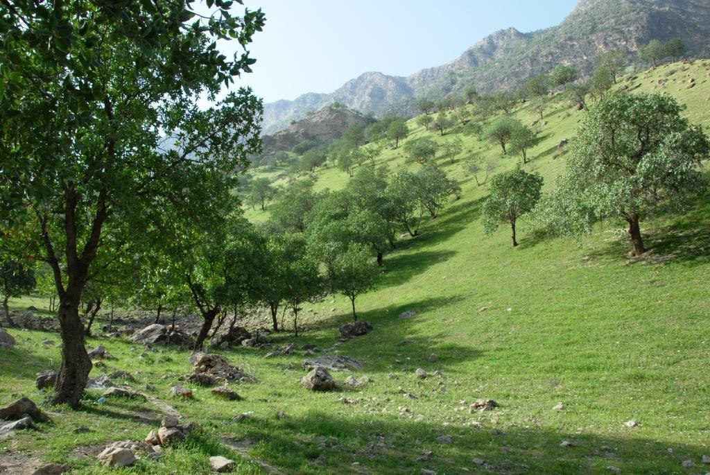 شهر سردشت لردگان