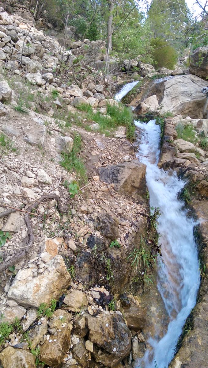 چشمه مرغک 