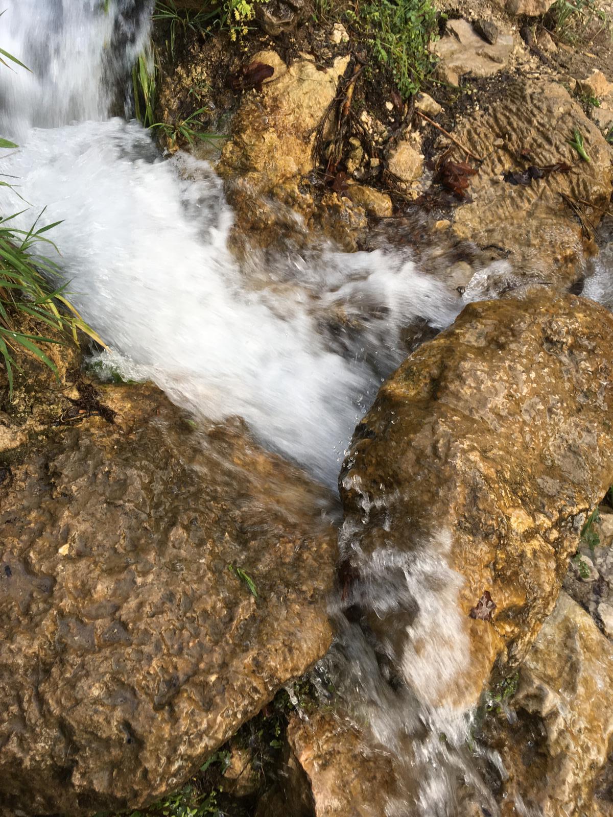 چشمه مرغک 