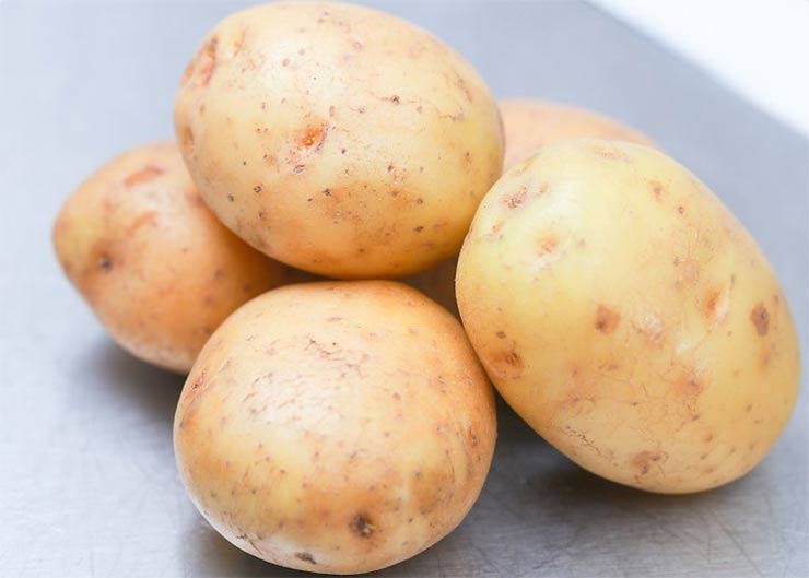 چگونه در اتاق هتل غذا درست کنیم