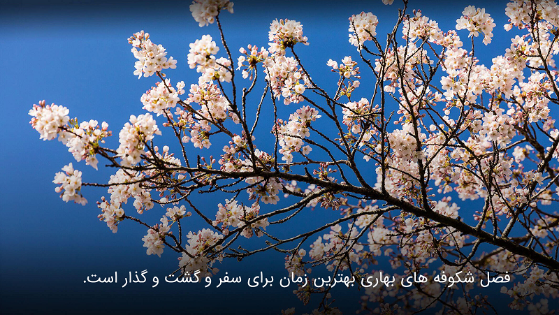 سفر در بهار