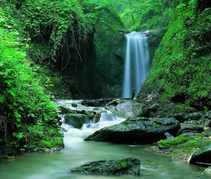 گلستان در تابستان