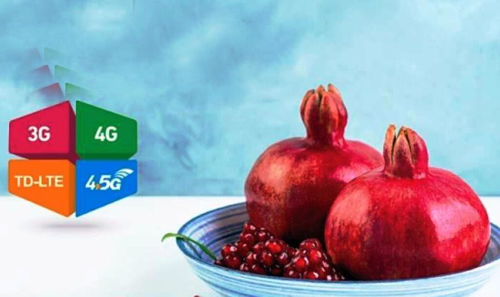 یلدای مجازی