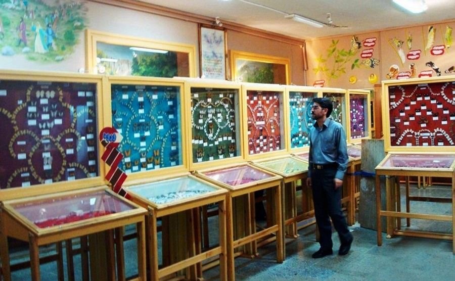 بزرگترین آمونیت در ایران
