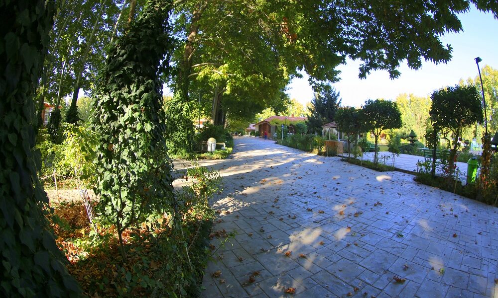 جاه تندرستی