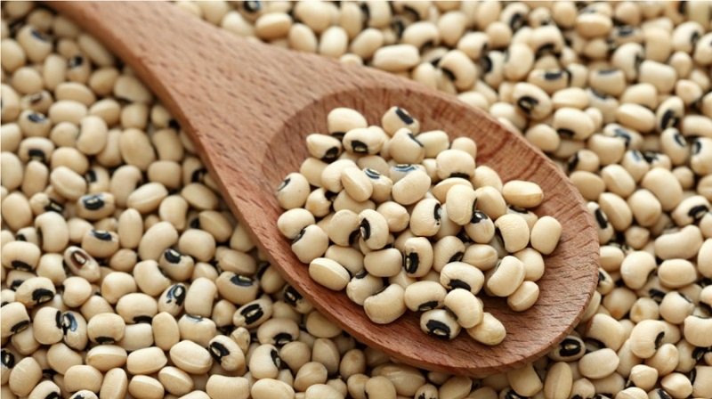 فواید لوبیا چشم بلبلی
