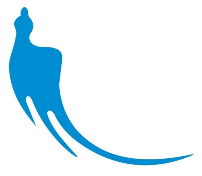 معرفی شرکت هواپیمایی کارون