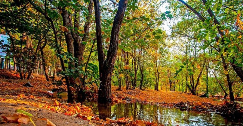 مکان مناسب اطراف تهران برای پیک نیک