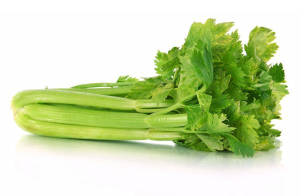 خورش کرفس