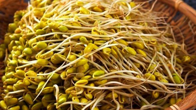 کوکوی ماش