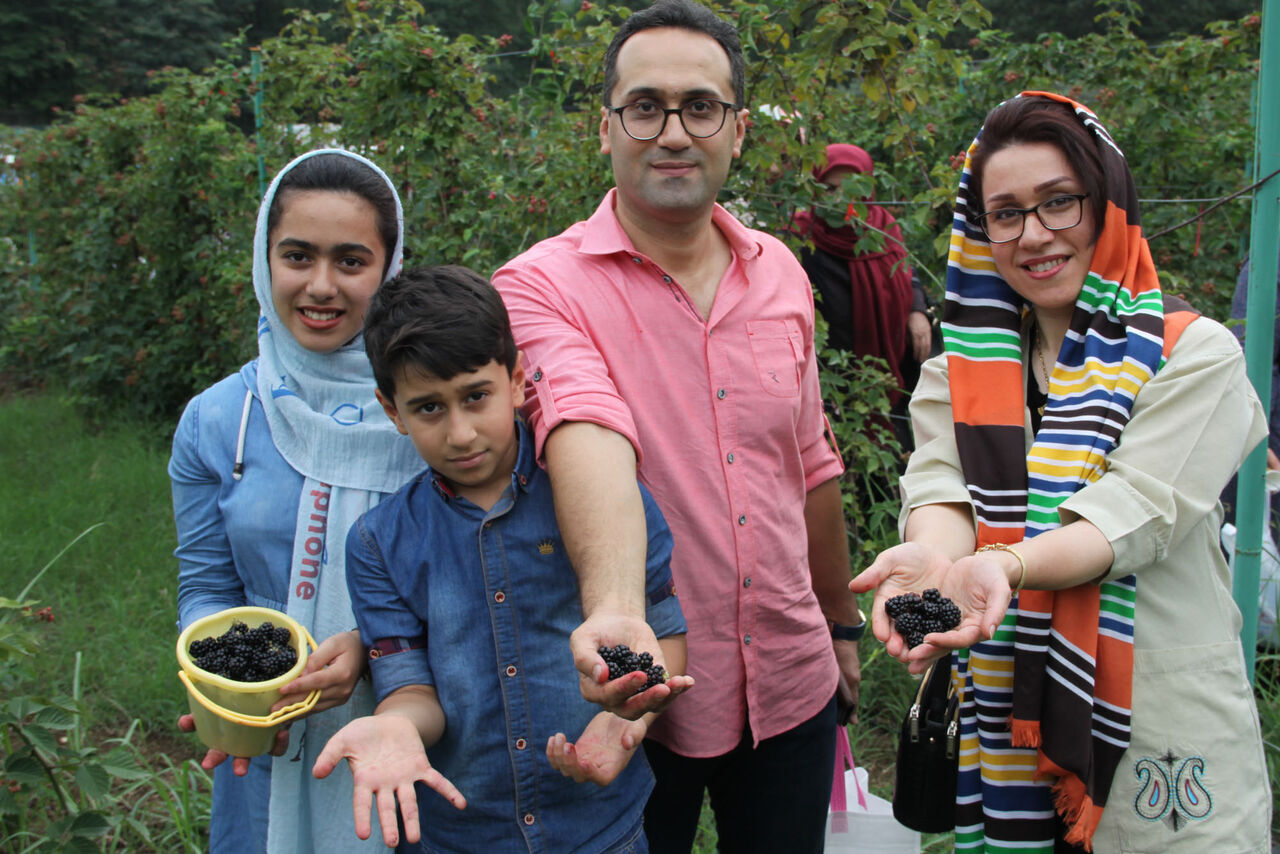 گردشگری روستایی 