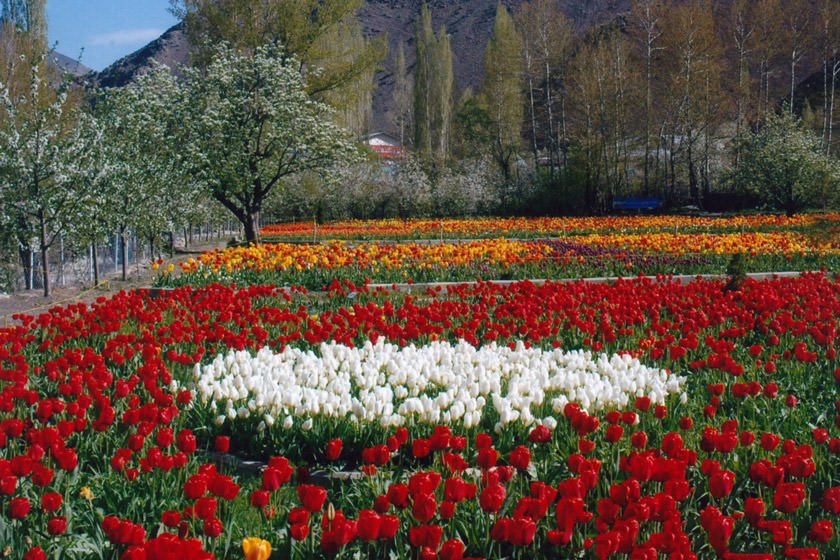 مکان مناسب اطراف تهران برای پیک نیک
