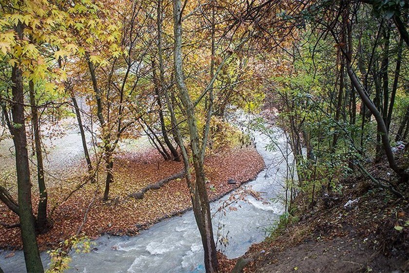 روستای کردان