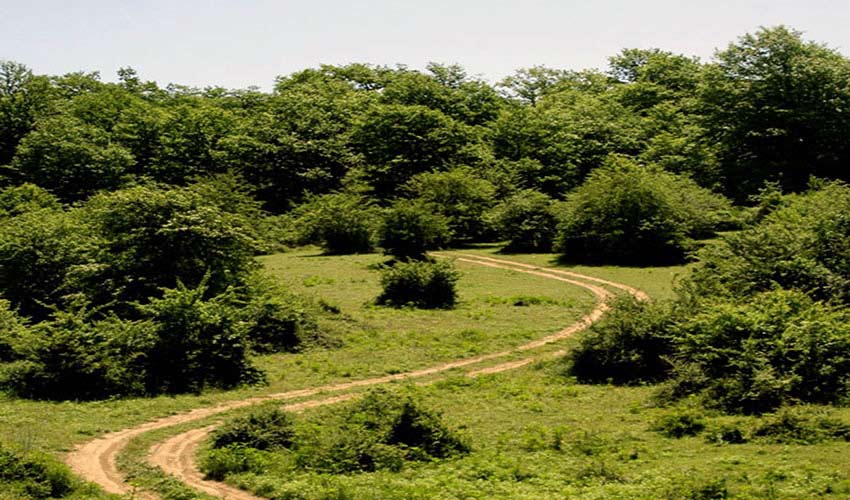 اروست 