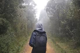 ترس از سفر