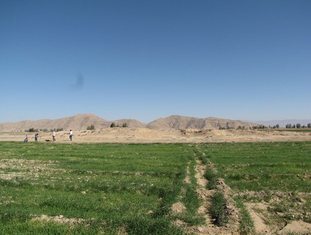 تل سفیدک حاجی آباد 