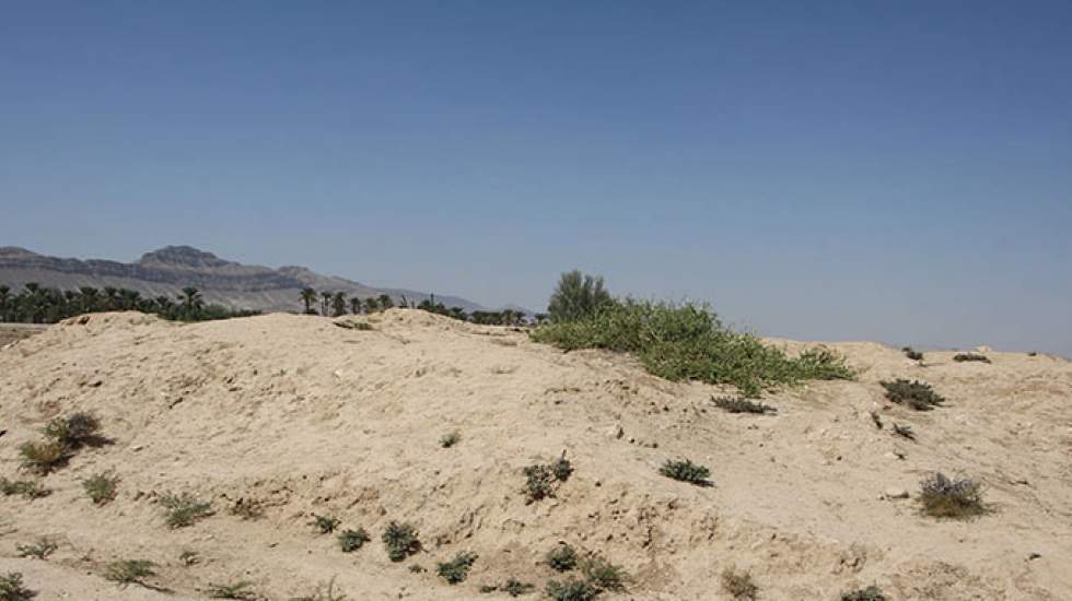 تل سفیدک حاجی آباد 