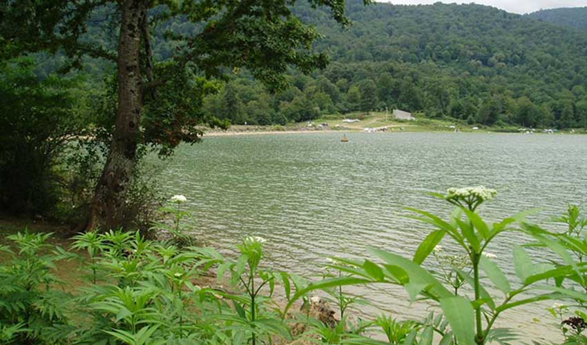 سی سنگان 