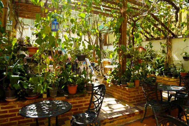 بهترین کافه برای ولنتاین 