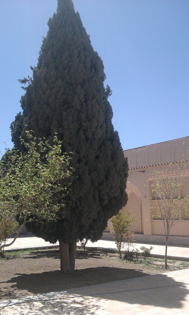 خانه نیلفروشان