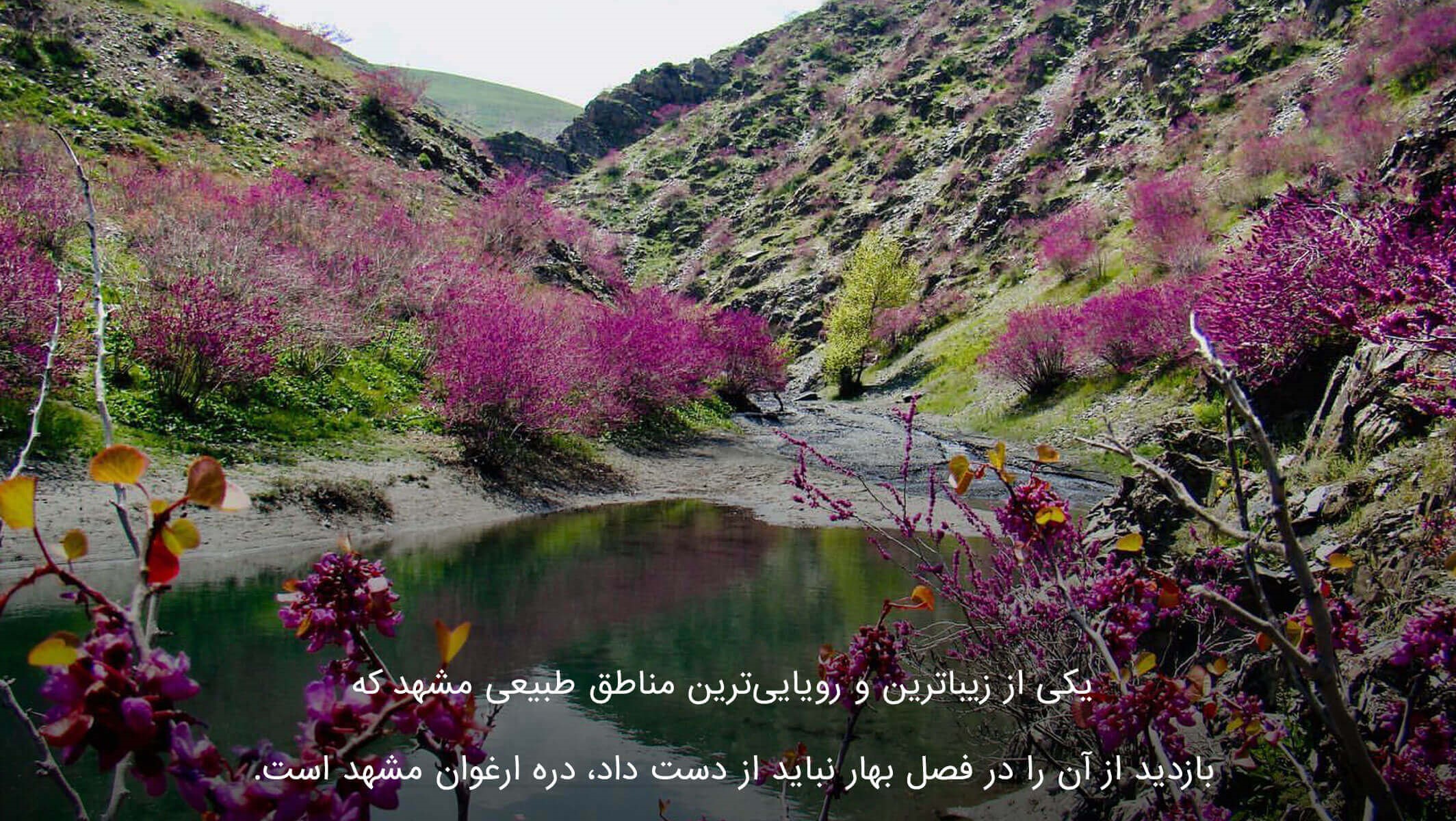 دره ارغوان مشهد