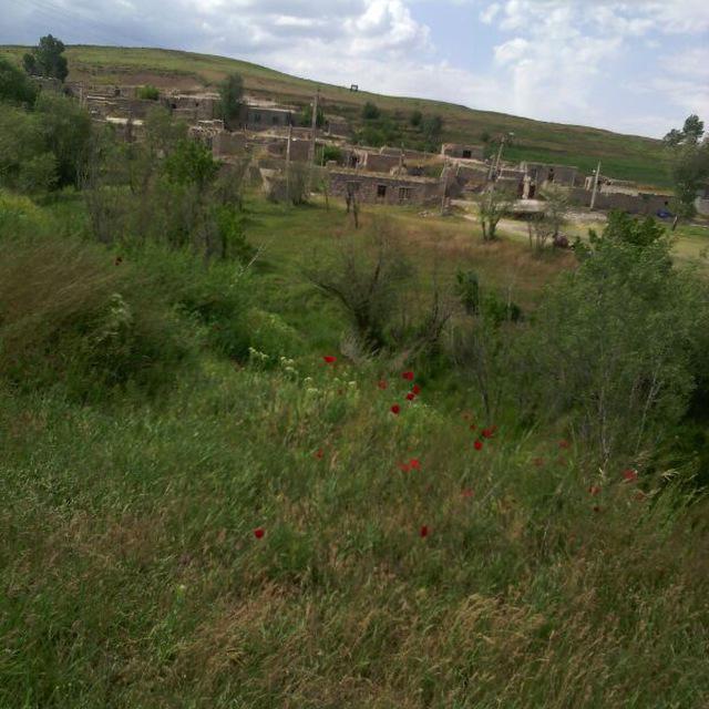 یونجالو 