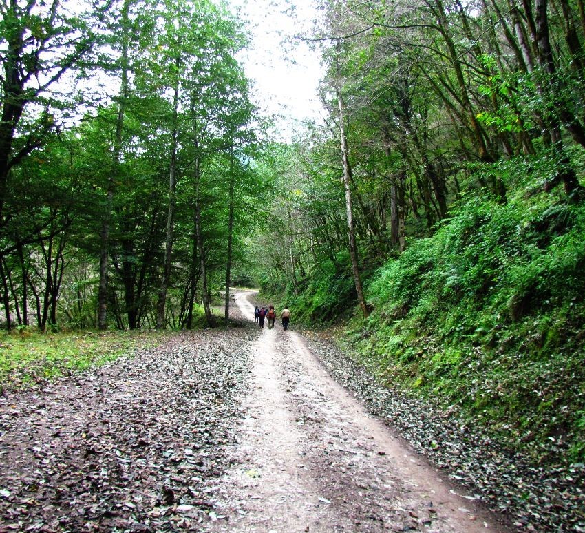 روستای دراسرا
