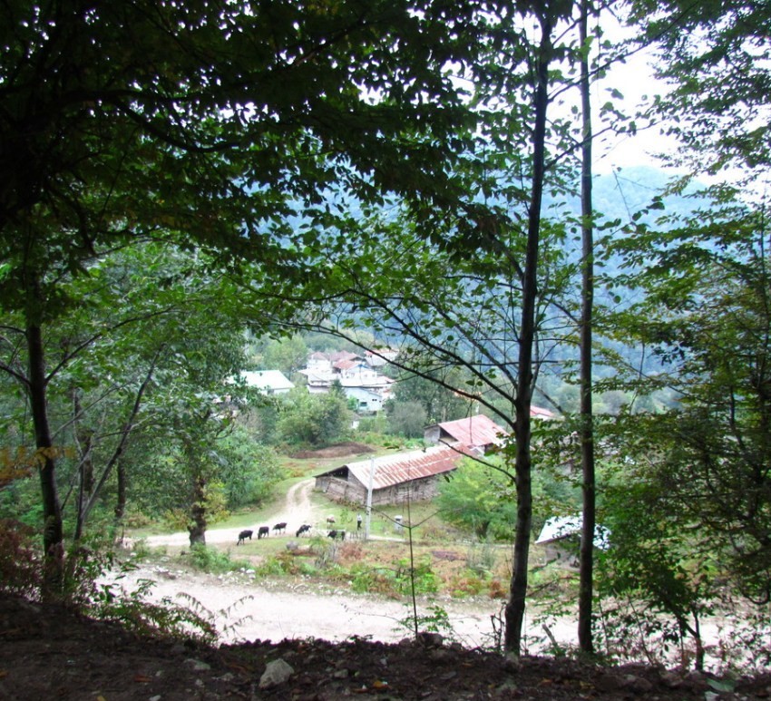 روستای دراسرا