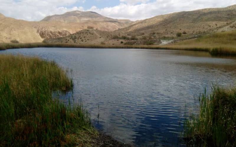 روستای گچه