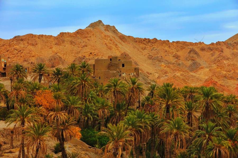 زردگاه